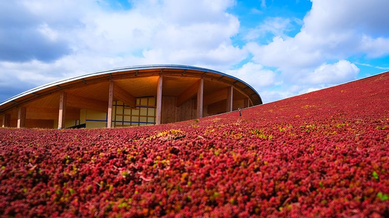 V Dánsku otevřeli pohádkově krásné muzeum Hanse Christiana Andersena